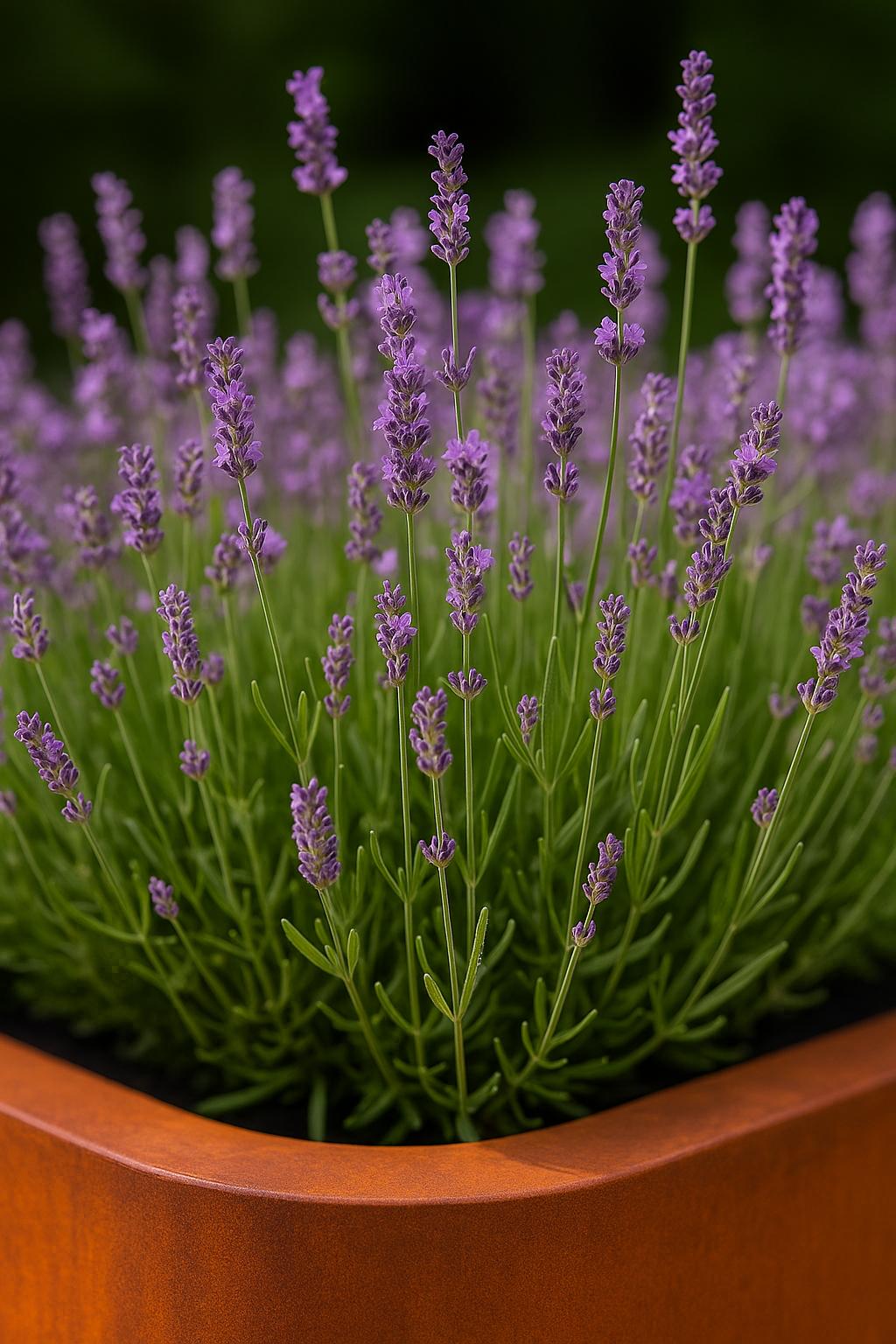 Pflanzkübel FORMA aus Cortenstahl, 50 x 50 x 80 cm