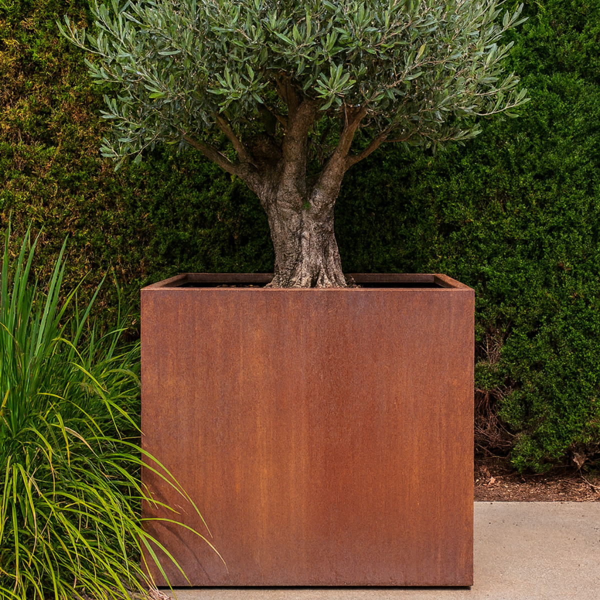 Pflanzkübel CORTEA aus Cortenstahl, 100 x 100 x 100 cm