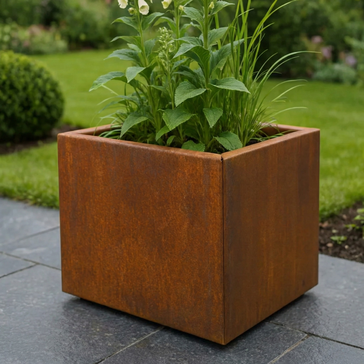 Vierkante Cortenstaal plantenbak met vingerhoedskruid op een donker terras.