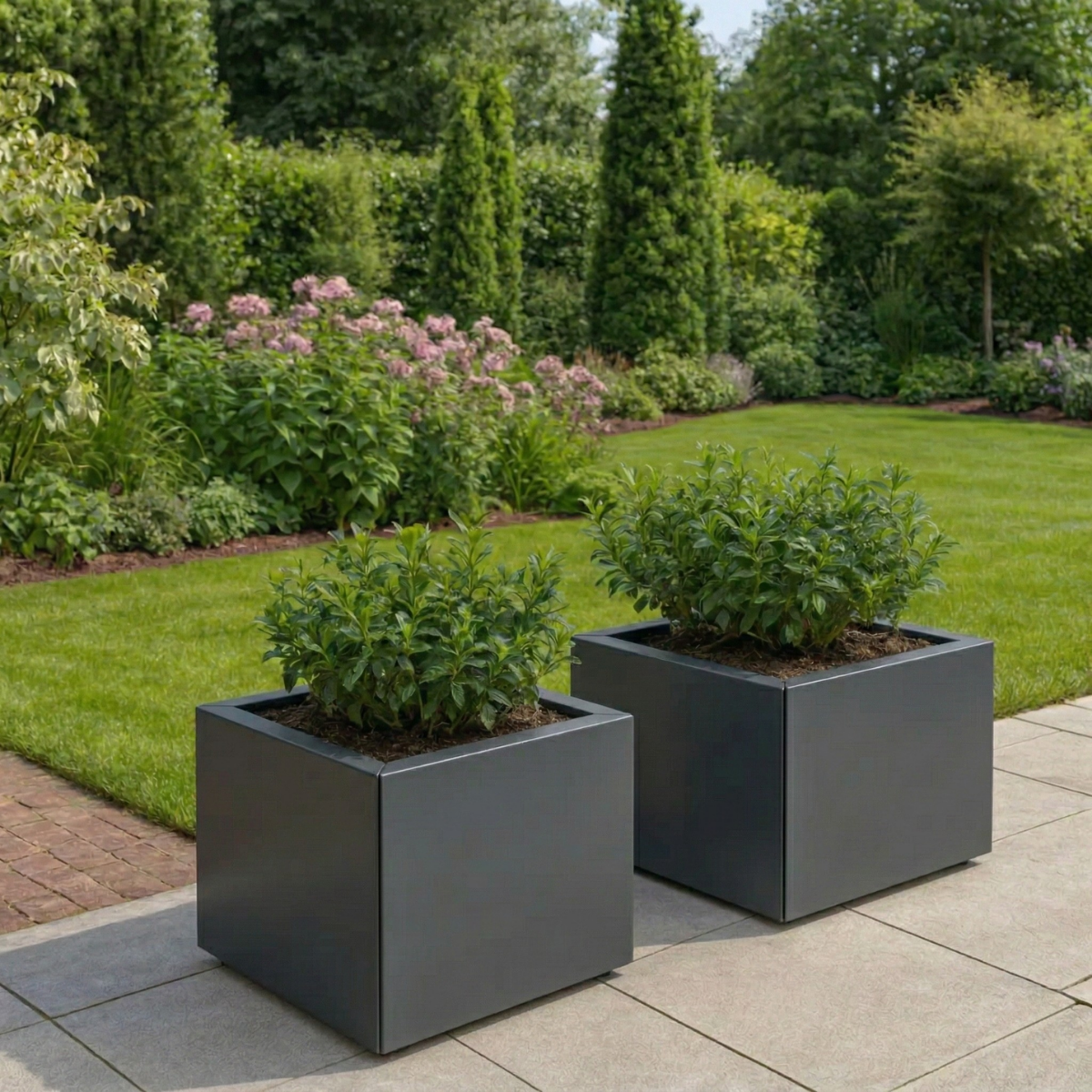 Twee donkergrijze vierkante plantenbakken gevuld met compacte groene heesters op een betegeld terras in een sfeervolle tuin.