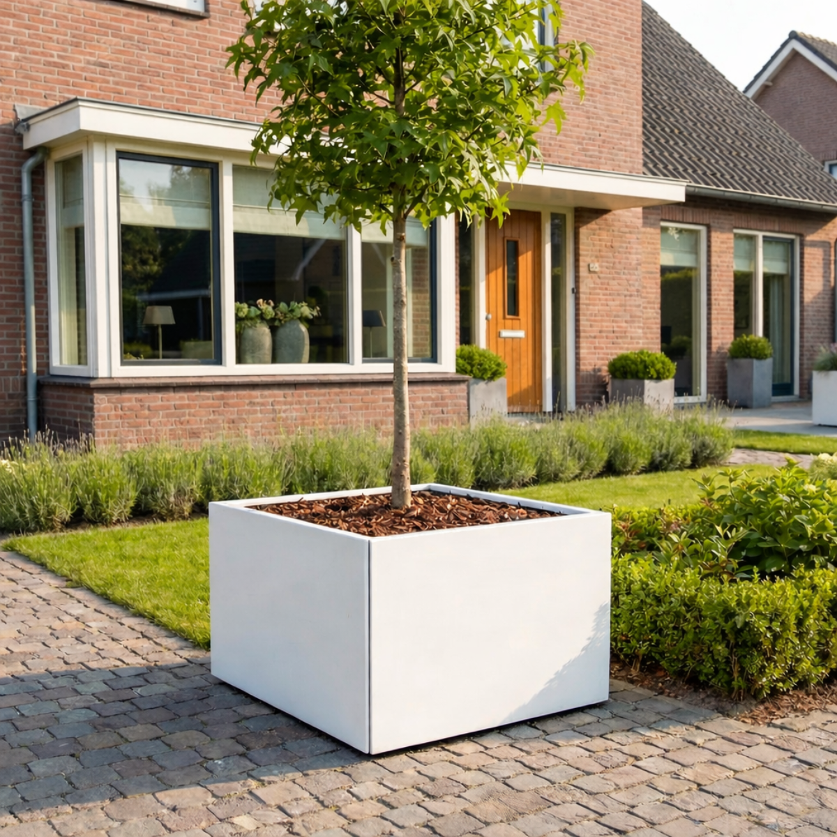 Vierkante witte plantenbak gevuld met een boompje op stam en houtsnippers in een verzorgde voortuin met kasseien bij een bakstenen huis.