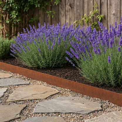 Lage border van cortenstaal met lavendel langs een pad van natuurlijke stapstenen.