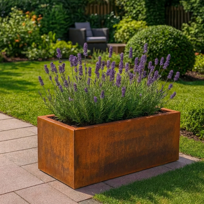 Rechthoekige Cortenstalen plantenbak met bloeiende lavendel op een tuinpad naast het gazon.