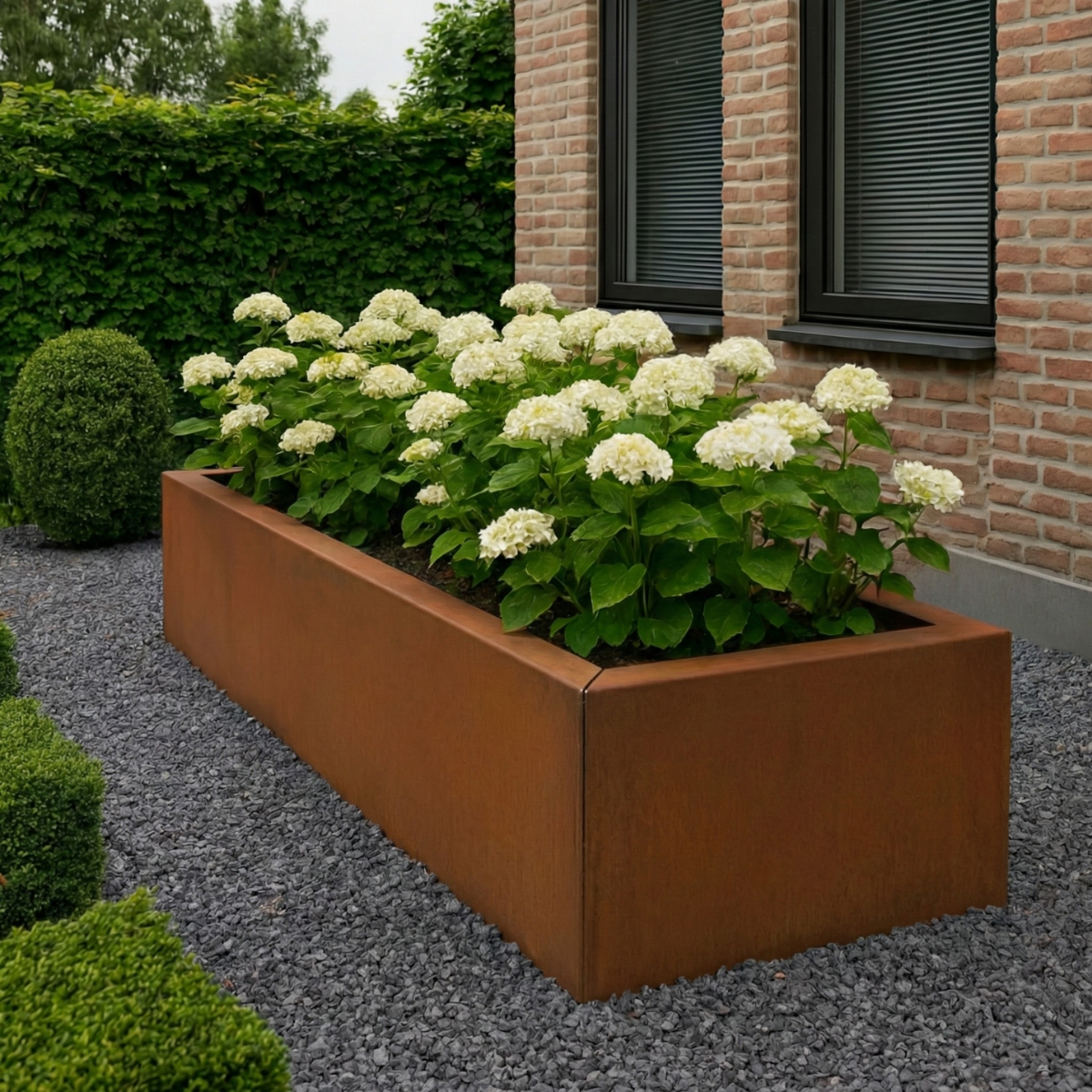 Lange rechthoekige Cortenstalen plantenbak met witte hortensia's op grijs grind.