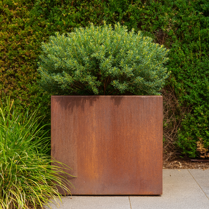 Pflanzkübel CORTEA aus Cortenstahl, 100 x 100 x 100 cm