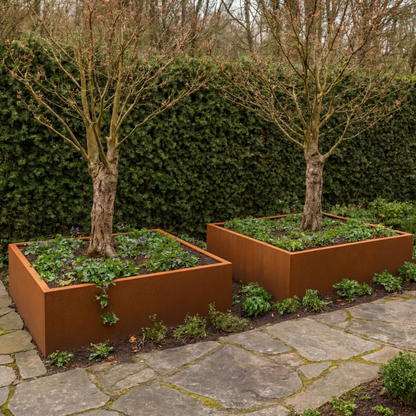 Twee grote vierkante Cortenstalen plantenbakken met bomen langs een natuurlijk stenen tuinpad.