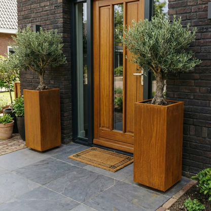 Stijlvolle entree met twee hoge cortenstaal plantenbakken gevuld met karakteristieke olijfbomen, symmetrisch geplaatst naast de houten voordeur.