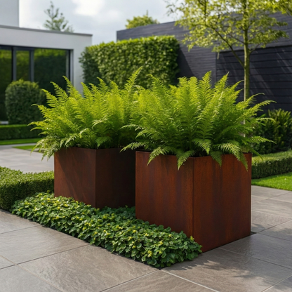 Twee vierkante Cortenstalen plantenbakken gevuld met groene varens op een modern terras.