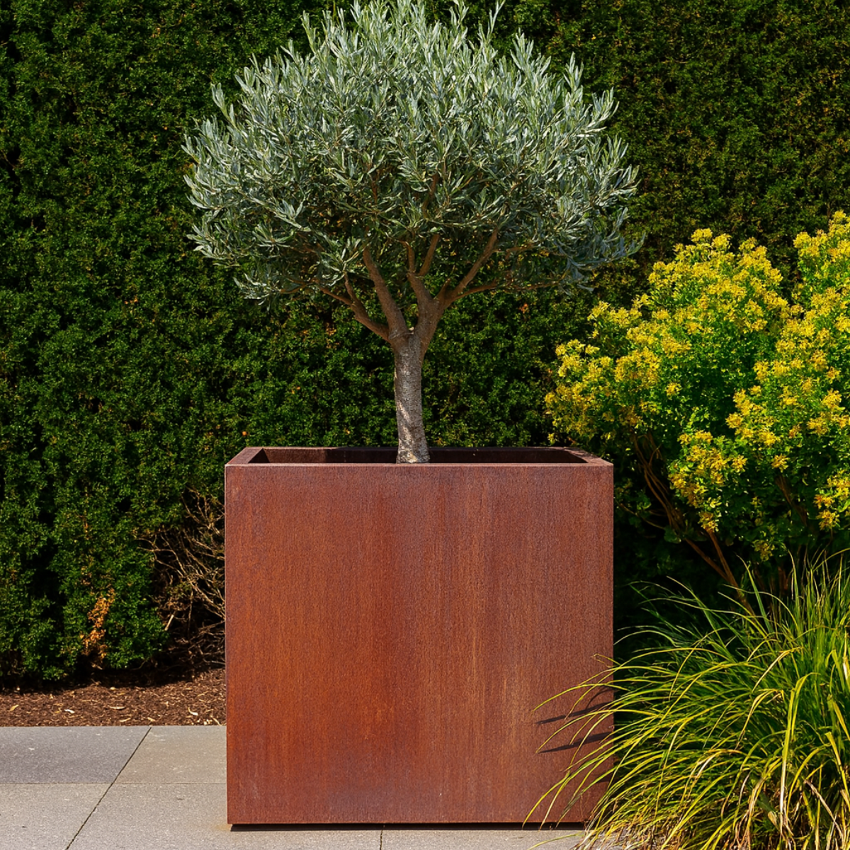 Pflanzkübel CORTEA aus Cortenstahl, 80 x 80 x 80 cm