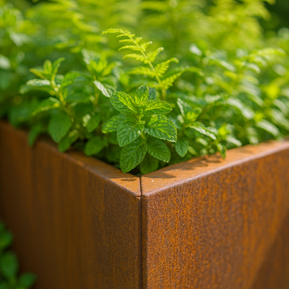 Pflanzkübel CORTEA aus Cortenstahl, 100 x 100 x 100 cm