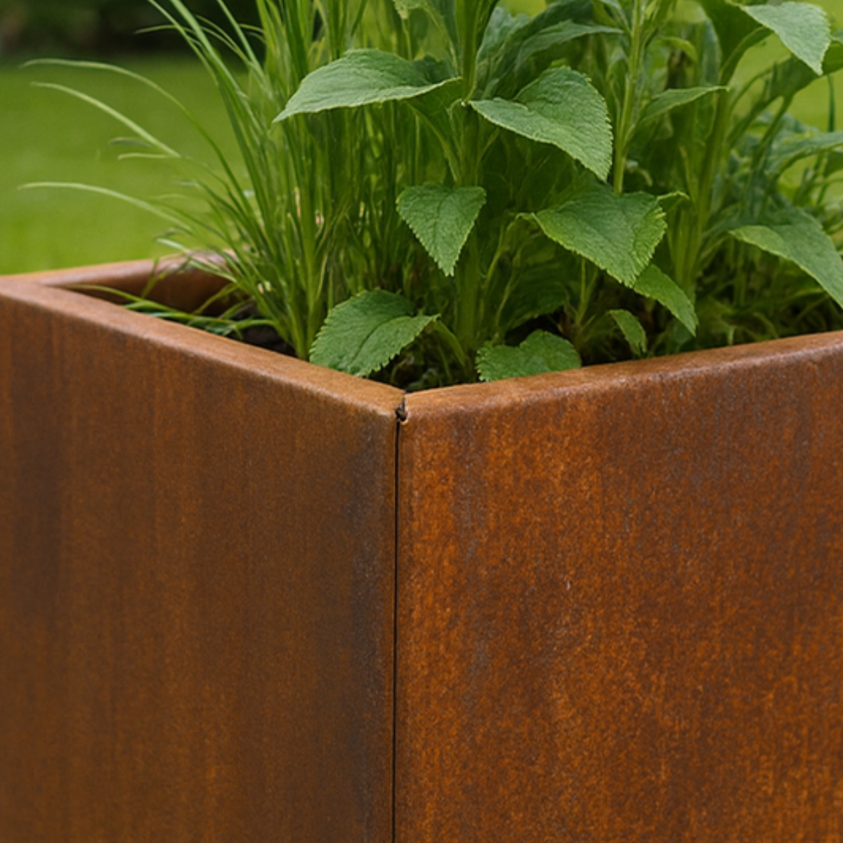 Pflanzkübel CORTEA aus Cortenstahl, 50 x 50 x 50 cm