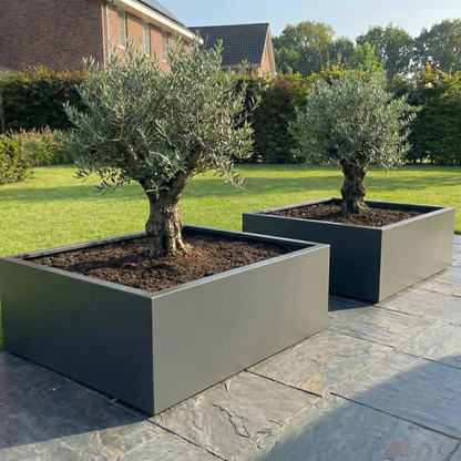 Cortenstahl Pflanzkübel CORTEA 40 x 40 x 40 cm