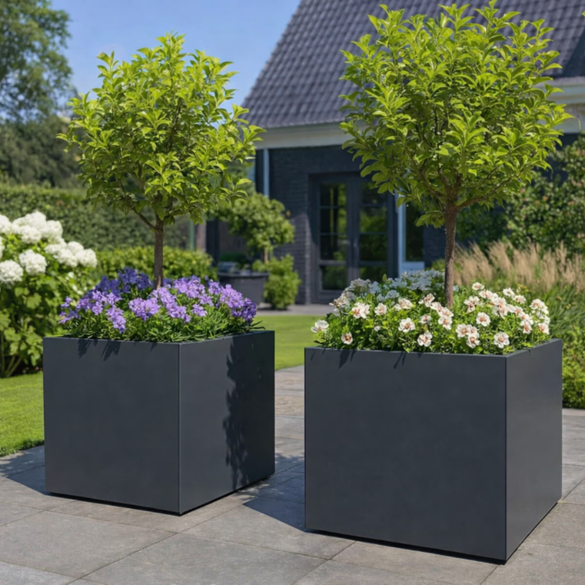 Twee grote antracietkleurige vierkante plantenbakken met kleine boompjes op stam en kleurrijke paarse en witte bloemen op een betegeld terras in een moderne tuin.